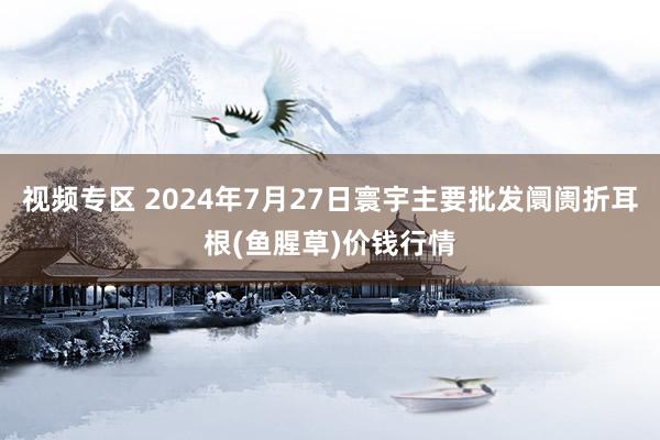 视频专区 2024年7月27日寰宇主要批发阛阓折耳根(鱼腥草)价钱行情