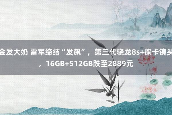 金发大奶 雷军缔结“发飙”，第三代骁龙8s+徕卡镜头，16GB+512GB跌至2889元