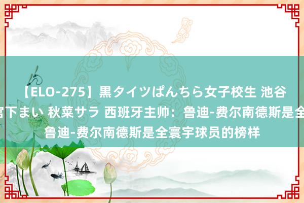 【ELO-275】黒タイツぱんちら女子校生 池谷ひかる さくら 宮下まい 秋菜サラ 西班牙主帅：鲁迪-费尔南德斯是全寰宇球员的榜样