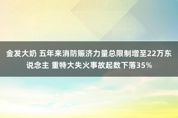 金发大奶 五年来消防赈济力量总限制增至22万东说念主 重特大失火事故起数下落35%