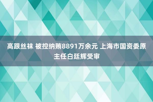 高跟丝袜 被控纳贿8891万余元 上海市国资委原主任白廷辉受审