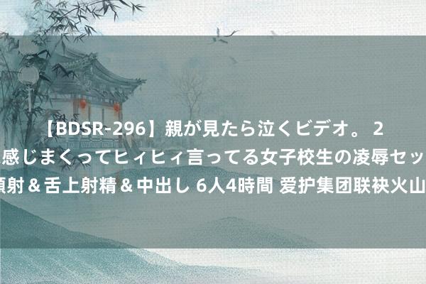 【BDSR-296】親が見たら泣くビデオ。 2 死にたくなるほど辛いのに感じまくってヒィヒィ言ってる女子校生の凌辱セックス。清楚系JKに顔射＆舌上射精＆中出し 6人4時間 爱护集团联袂火山引擎数智平台VeDI 挖掘品牌会员增长新旅途