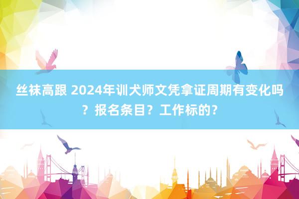 丝袜高跟 2024年训犬师文凭拿证周期有变化吗？报名条目？工作标的？