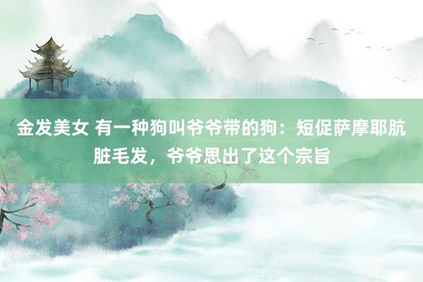 金发美女 有一种狗叫爷爷带的狗：短促萨摩耶肮脏毛发，爷爷思出了这个宗旨