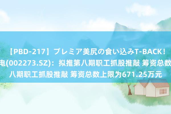 【PBD-217】プレミア美尻の食い込みT-BACK！8時間BEST 水晶光电(002273.SZ)：拟推第八期职工抓股推敲 筹资总数上限为671.25万元