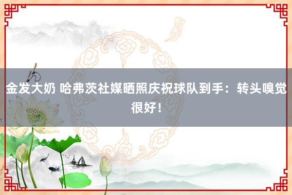 金发大奶 哈弗茨社媒晒照庆祝球队到手：转头嗅觉很好！