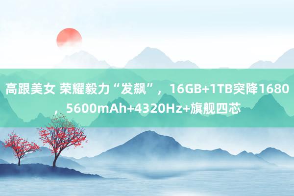 高跟美女 荣耀毅力“发飙”，16GB+1TB突降1680，5600mAh+4320Hz+旗舰四芯