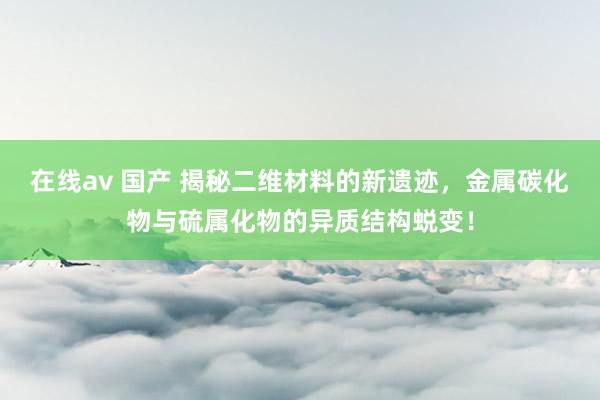 在线av 国产 揭秘二维材料的新遗迹，金属碳化物与硫属化物的异质结构蜕变！