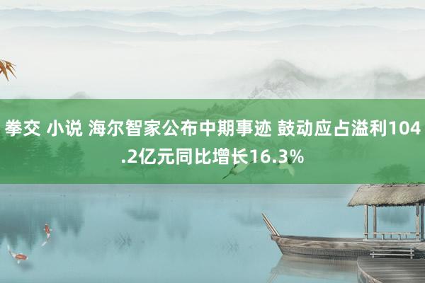 拳交 小说 海尔智家公布中期事迹 鼓动应占溢利104.2亿元同比增长16.3%