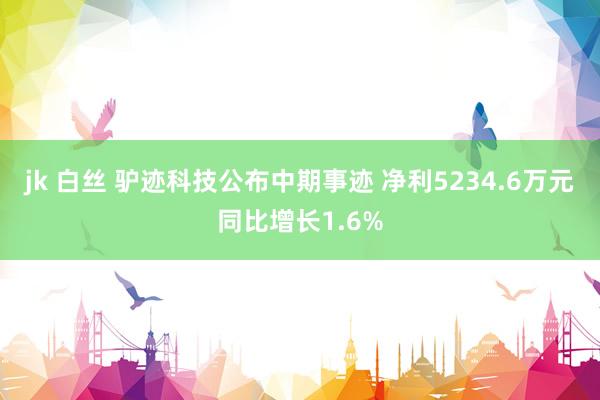 jk 白丝 驴迹科技公布中期事迹 净利5234.6万元同比增长1.6%