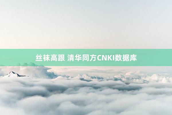 丝袜高跟 清华同方CNKI数据库