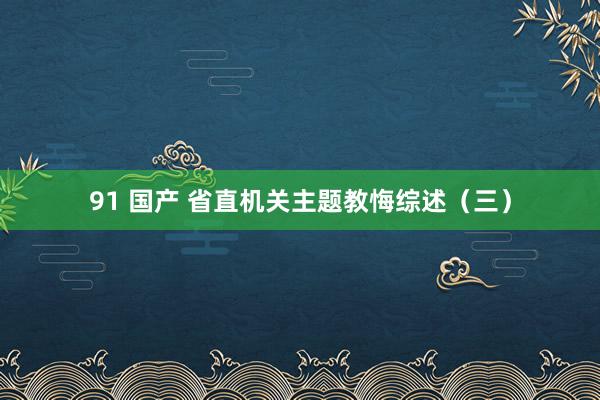 91 国产 省直机关主题教悔综述（三）